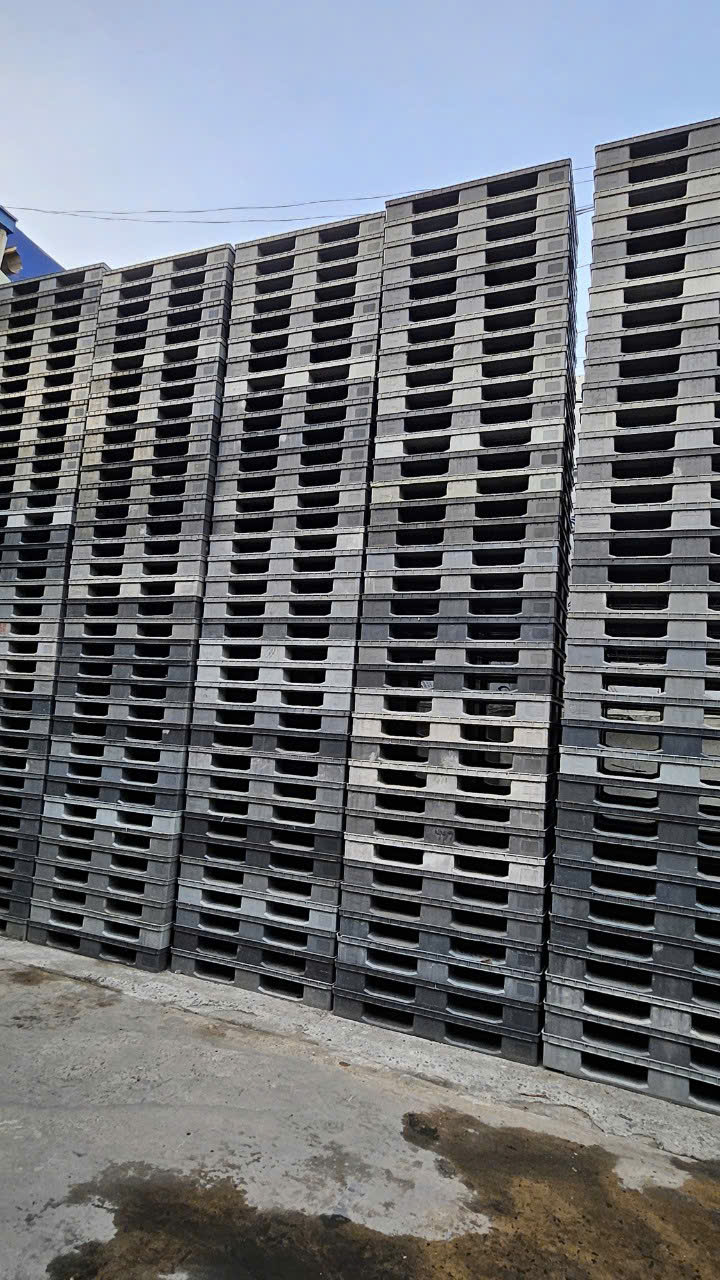 PALLET NHỰA 1200x800x150mm